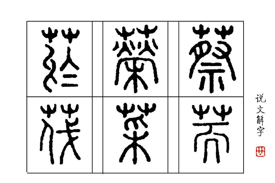 说文解字第280课全集,说文解字第70课