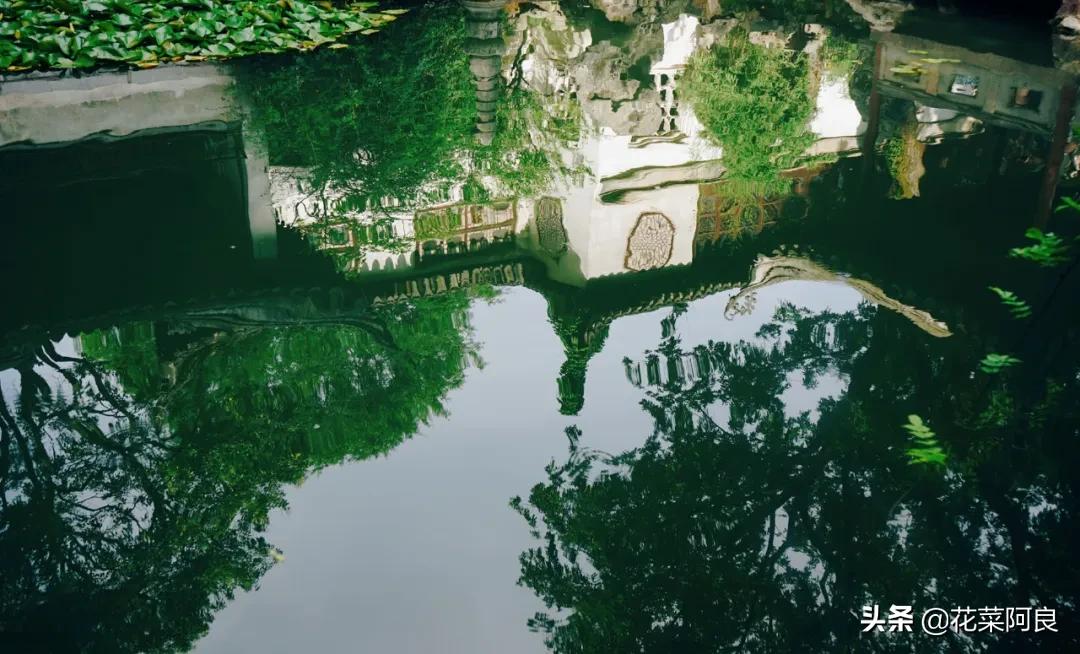 留园拙政园哪个景色好,留园和拙政园