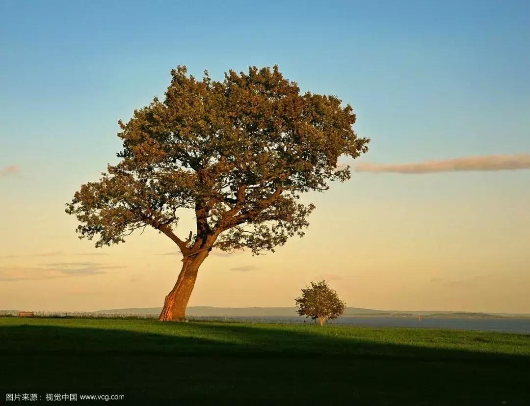 富有人生哲理的短文阅读,影响一生的100个哲理故事有哪些