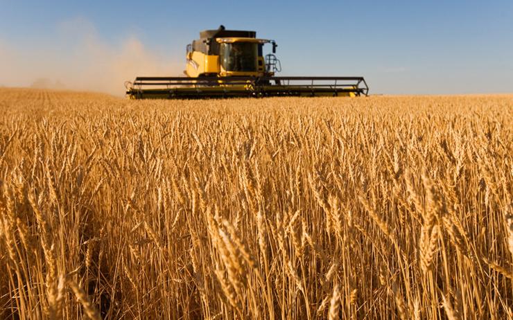 农业趋势未来农业的出路在哪里,农业如何做才能有出路