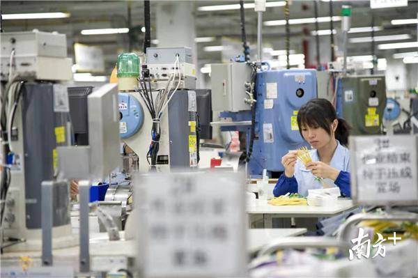 高质量发展迈出新的坚实步伐,高质量发展企业的举措