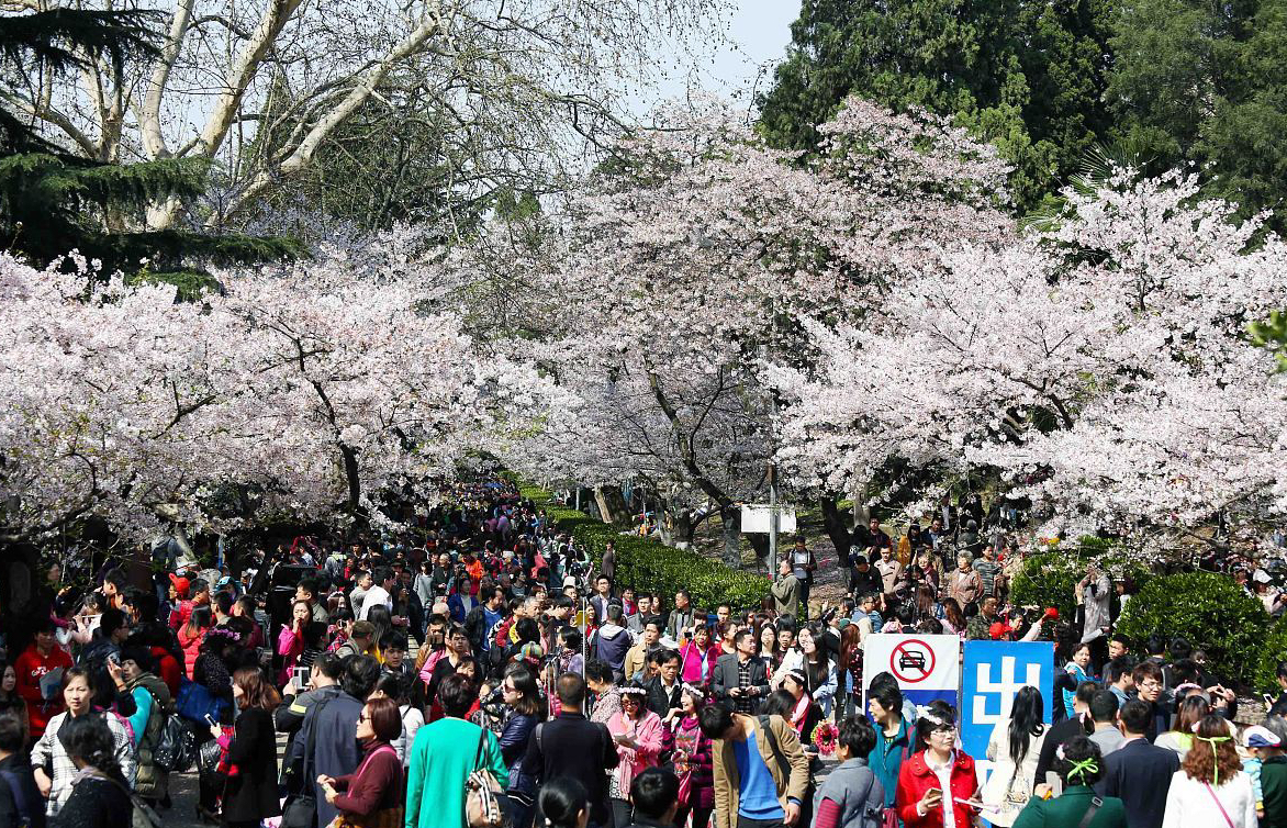 武汉大学华中科大排名,武汉大学和中科大物理系哪个更好