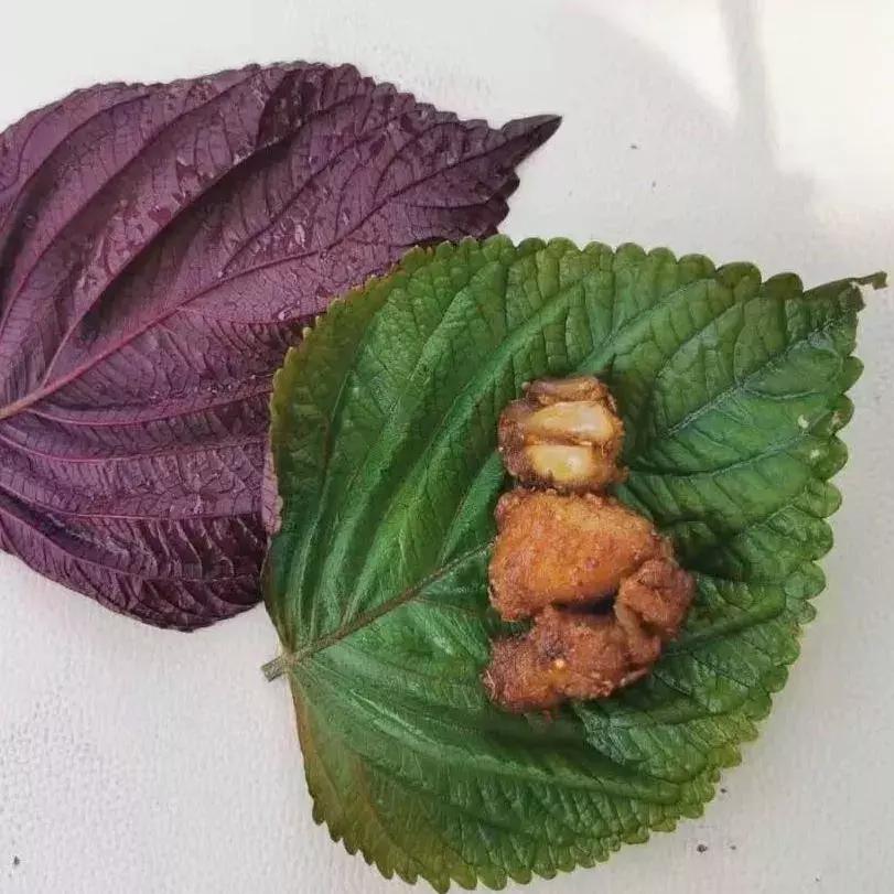 此生一定去要去的地方,此生一定要去这个地方