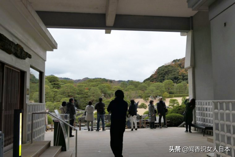 最美日本庭院排行榜,日本最美庭园美术馆