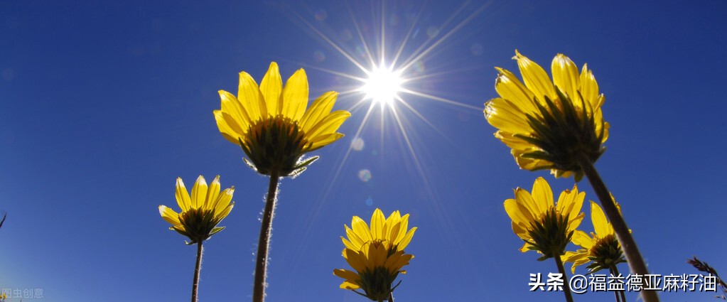 只要每天坚持这三个习惯就能瘦,健康一线几招教你安心度夏