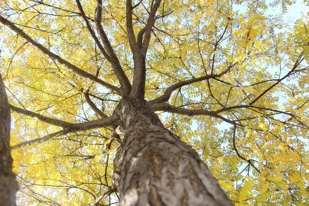 和青春不期而“榆”！榆林职院是你梦想起航的地方！