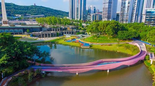 梦幻“粉黛桥”、智慧步道,这个公园华丽变身为网红打卡地