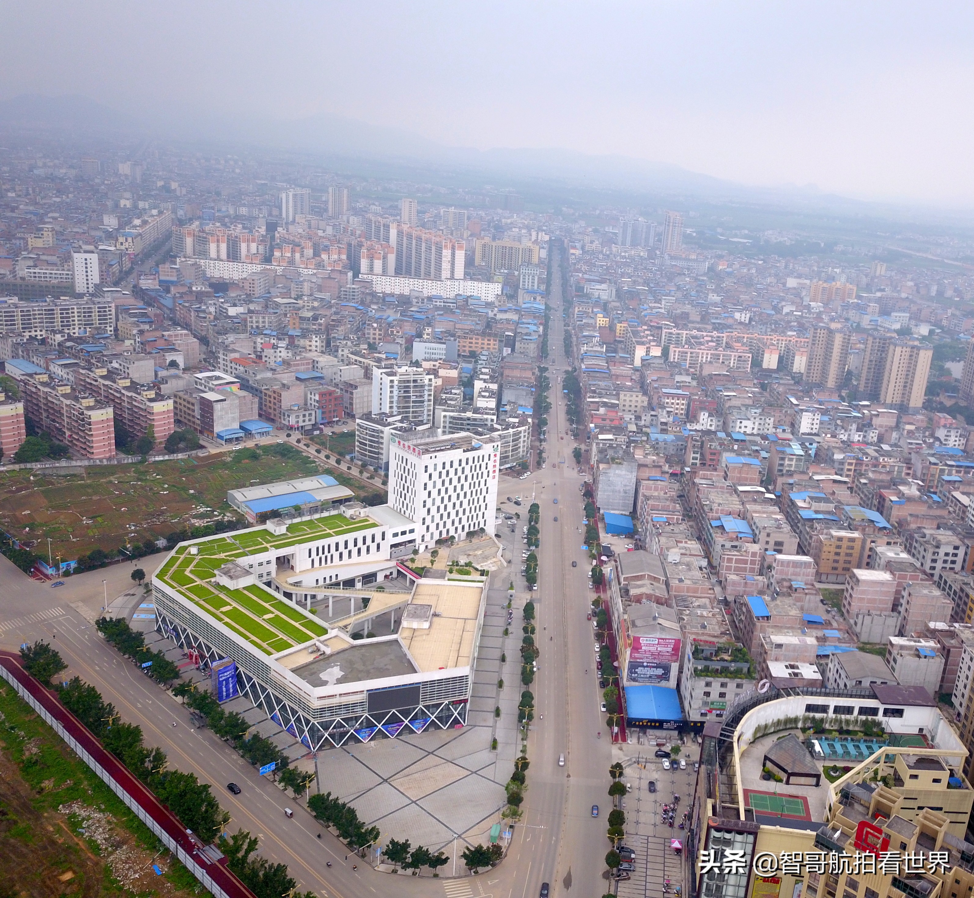 广西宾阳炮龙乡视频,宾阳炮龙之乡新闻