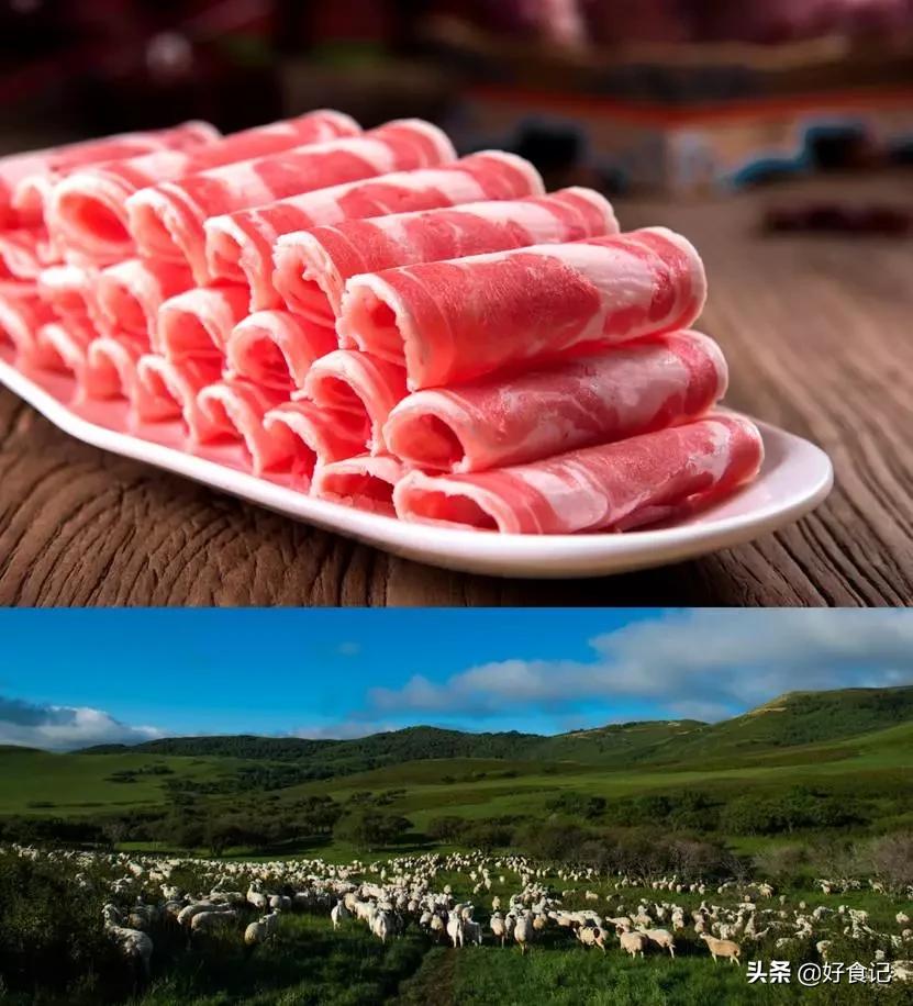 为什么巴奴只开在河南,巴奴董事长杜中兵简介