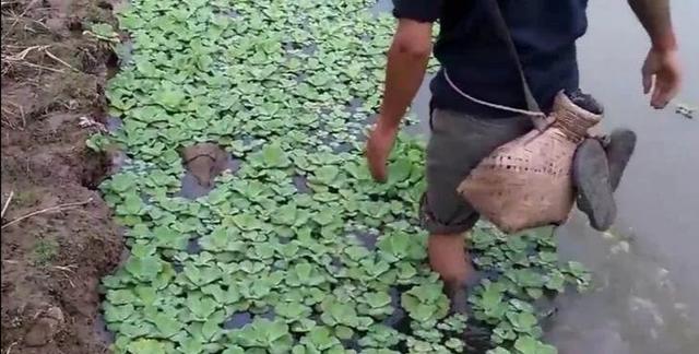 鎵ｉ粍槌濈殑鐪熷疄瑙嗛,鍦ㄥ閲屾墸榛勯碀