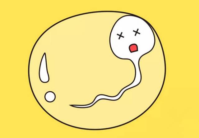 精子的死亡周期,精子死精怎么治疗好