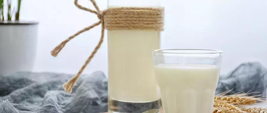 椰果补什么,椰果益处