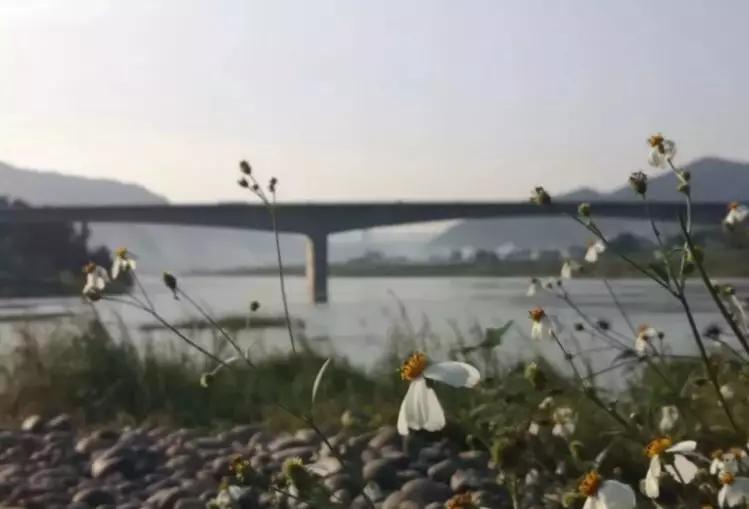 木河洞街,木洞河街