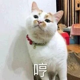 敏感皮肤怎样修复角质层,敏感皮屏障修复