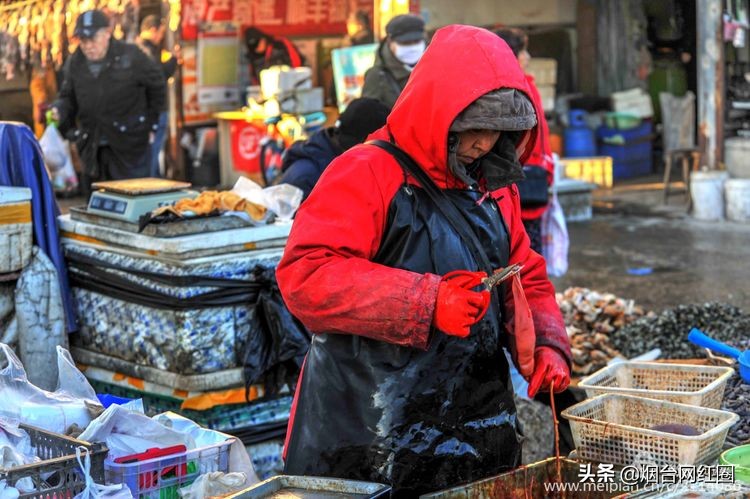 烟台莱阳海鲜早市,烟台老红利市场早市