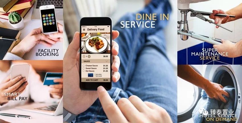 年轻生活！THEORIGIN拉差达性价比之王