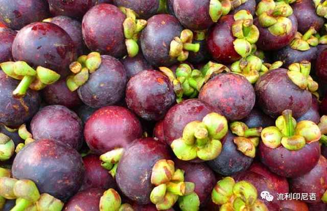 清凉一夏愉快吃瓜—印尼常见水果大全