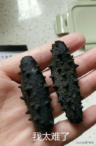 加拿大进口即食海参,加拿大即食海参500g6只左右