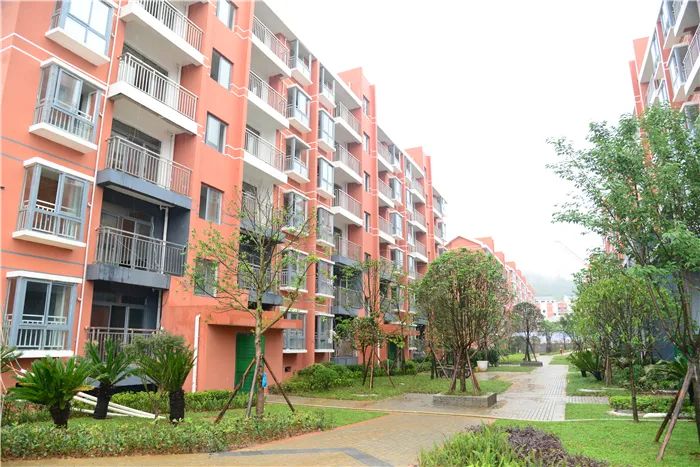 遵义市县区脱贫顺序,遵义的贫困县有哪些