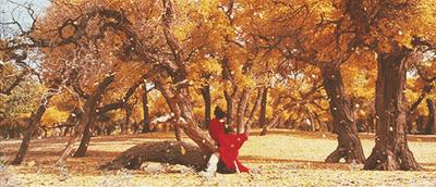 鲁南婚俗的私密有人说糊里糊涂活了半辈子了还不知道真是白活了