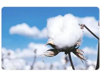 耐克阿迪hm,耐克阿迪和hm