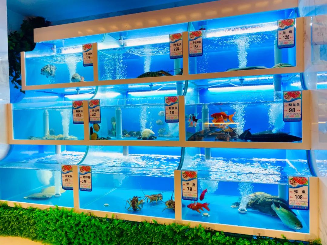 从2003年的水上大塘到现在,郑州的南边终于有店啦