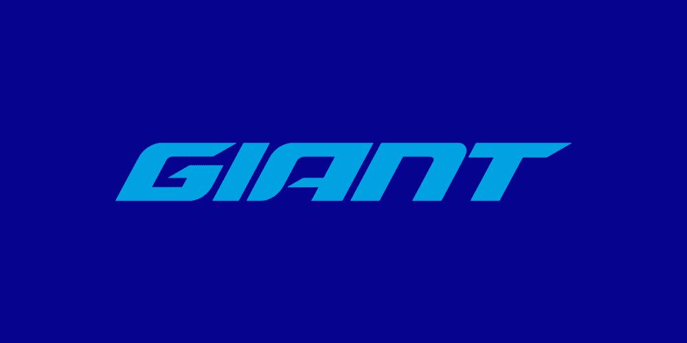 giant捷安特电助力自行车论坛,捷安特giant自行车