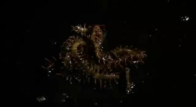 三代降头术,讲述降头术的故事