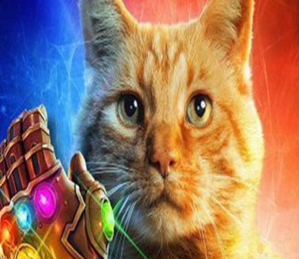 仓鼠贪吃是本性,除此之外吞噬能力与颜值远超噬元兽