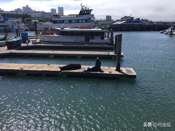 旧金山渔人码头大火,旧金山渔人码头坐标