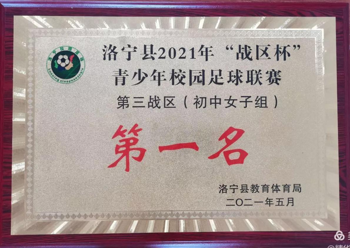 洛宁县罗岭乡初级中学足球比赛,足球联赛洛宁青少年