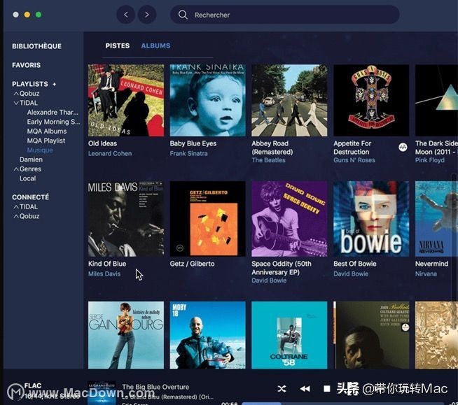 mac音乐播放器小组件,mac专用本地音乐播放器