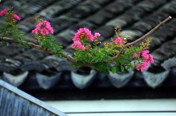 引爆文旅市场,蚌埠城南新建不夜城