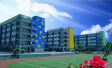 重庆南岸小学学校排名,重庆南岸区小学校招生范围一览