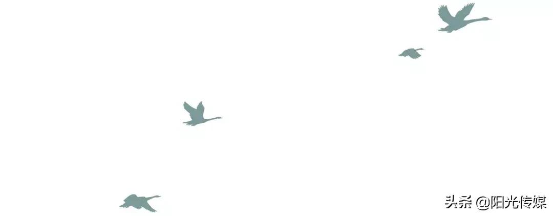 和新镇白腊村,和新镇书记