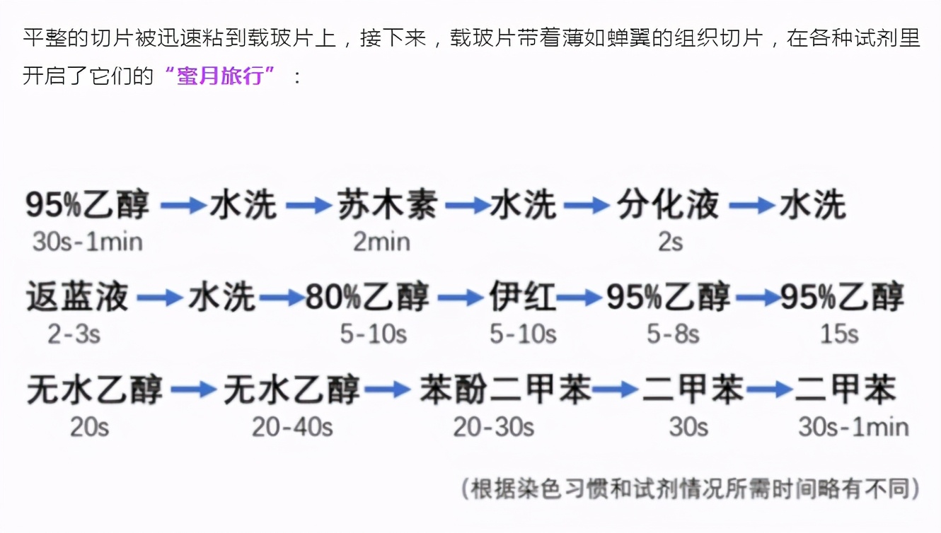 肿瘤防治科普视频,肿瘤冷冻切片和病理哪一个准确