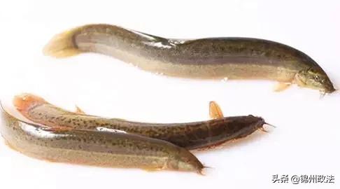 沈阳有什么特色农产品,辽宁省14个市县特产农产品