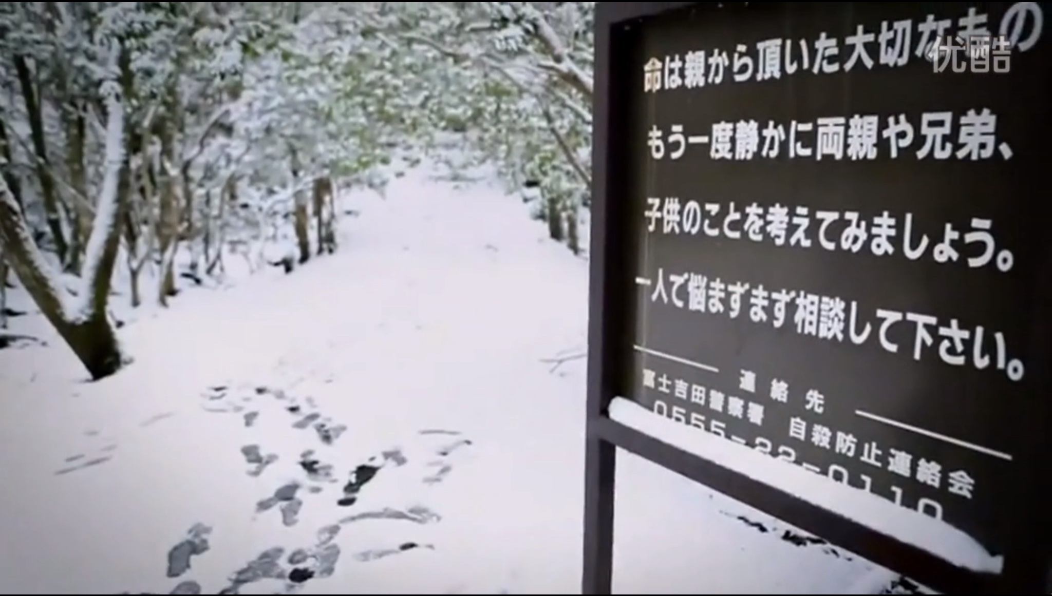 揭秘神奇降头术,降头术奇闻怪谈