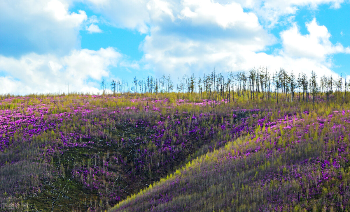 测试土壤酸碱度的方法化学,学会判断土壤酸碱度的七种方法