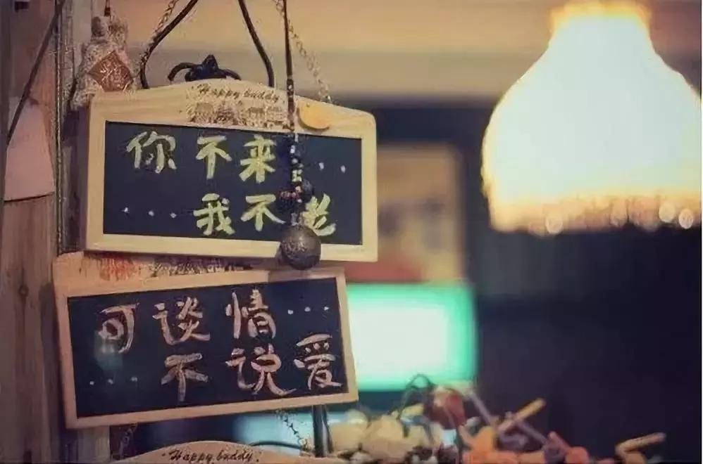 六年旅行者,国六旅行者