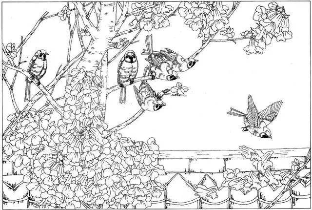 工笔花鸟白描步骤图,牡丹六尺横幅白描工笔花鸟底稿