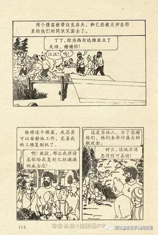 丁丁历险记之丁丁在刚果,丁丁历险记丁丁年龄设定