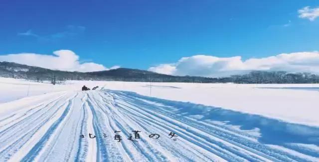 健康跑吧迎新春,奔跑吧周年庆节目