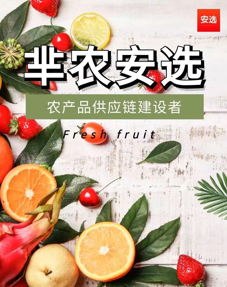 线上与线下之争解析,线上和线下该如何抉择