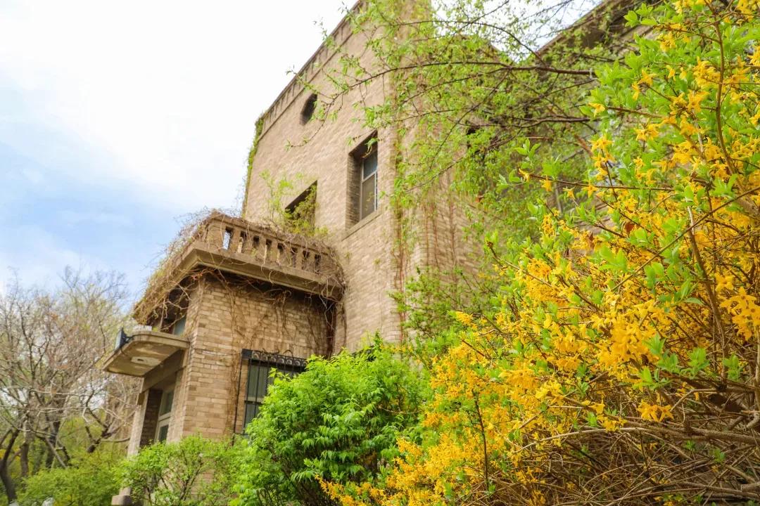 辽宁大学和鲁迅美术学院,辽宁省鲁迅美术学院是985吗