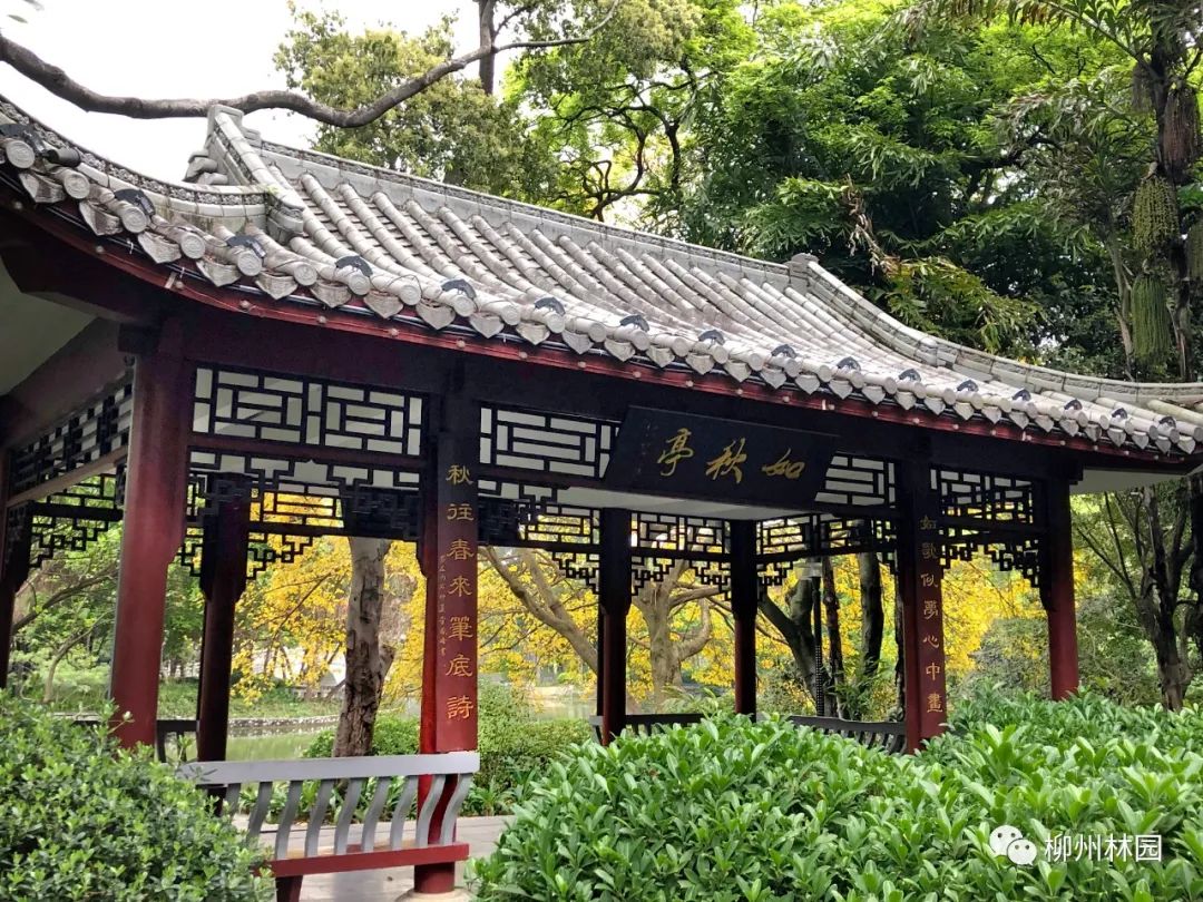 柳州的柳侯公园特色,柳州柳侯公园秋天美景