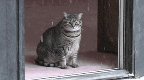 男言之隐怎么样,男言之隐介绍