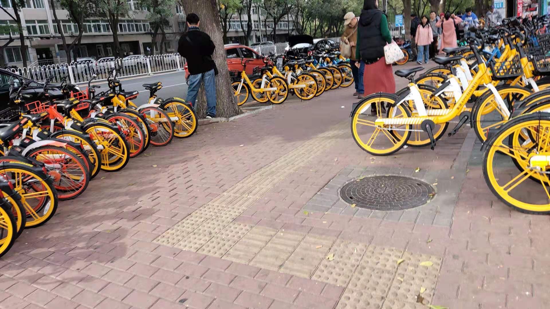 曾经属于小黄车的西二旗正在一点点被“绿”