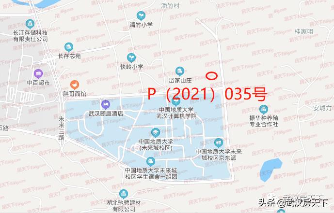 地价又创新高,左岭新地王