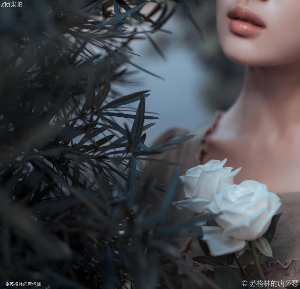 草地美少女拍照姿势,草地少女风写真